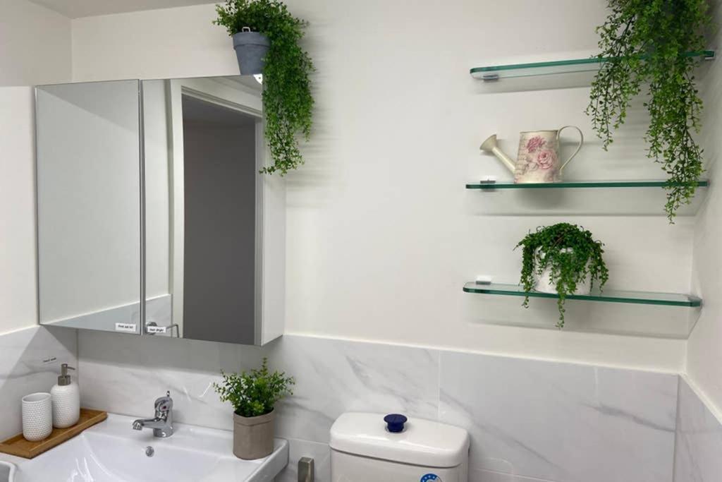 10A Brunswick Living Studio Close To Apt And Cbd Free Wifi Tram At Doorstep Melbourne Exterior photo
